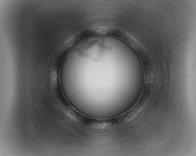 X0000116580646200912171524