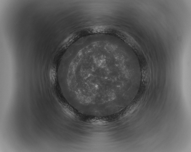 X0000116580648200912171525