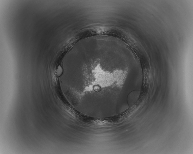 X0000116580650200912171525