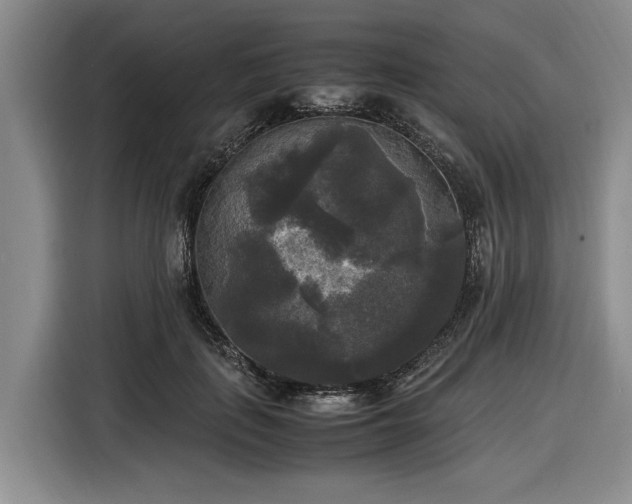 X0000116580651200912171525