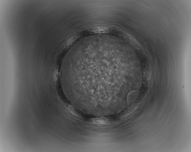 X0000116580652200912171525