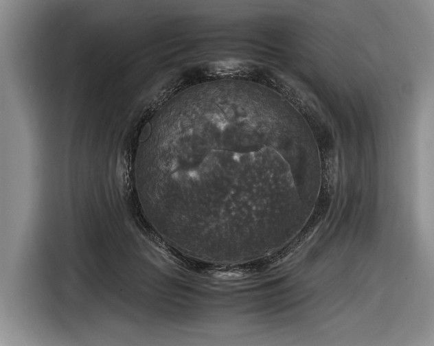 X0000116580653200912171525