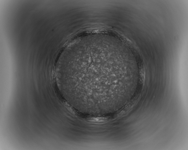 X0000116580657200912171525