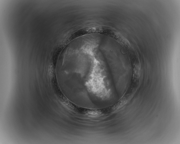 X0000116580659200912171525