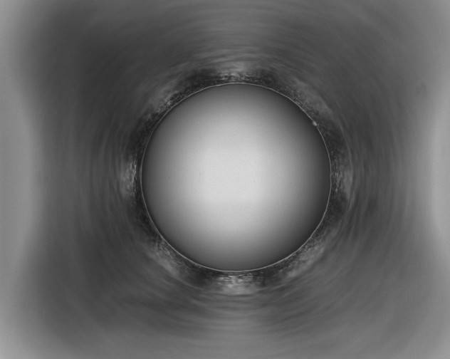 X0000116580660200912171525