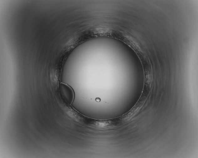 X0000116580662200912171525