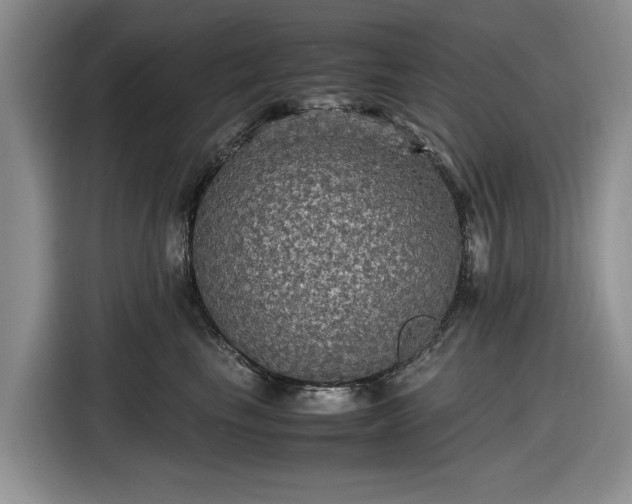 X0000116580665200912171525