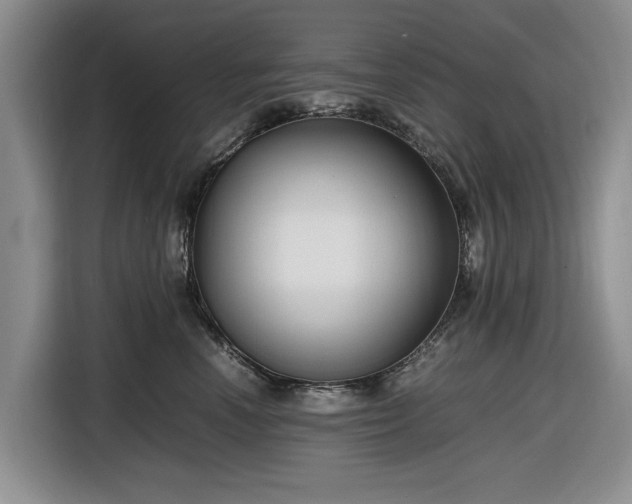 X0000116580666200912171525