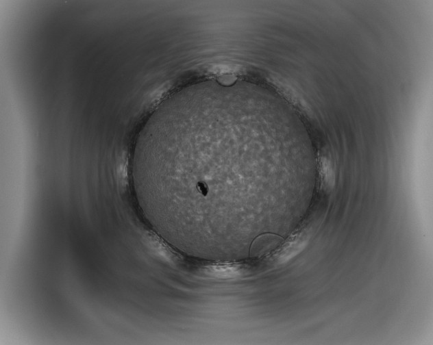 X0000116580668200912171525