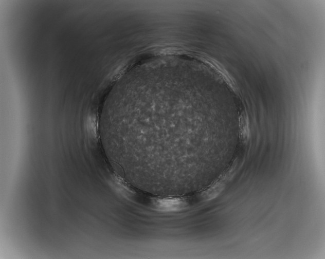 X0000116580669200912171525