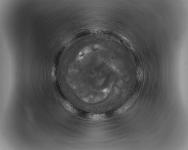 X0000116580670200912171525