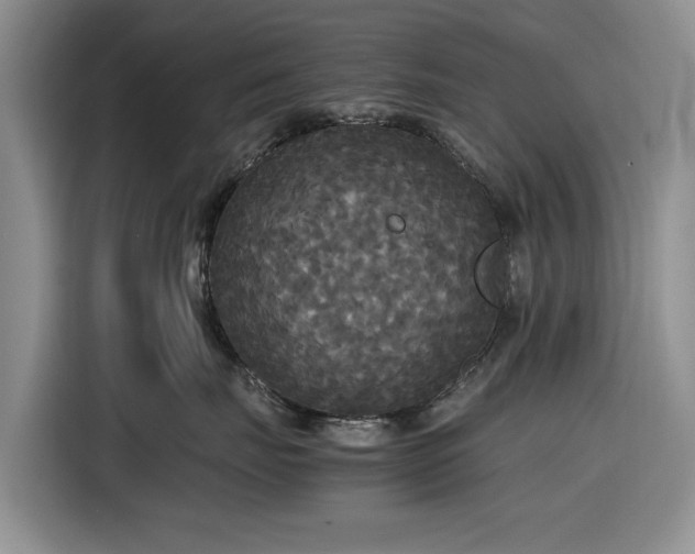 X0000116580671200912171525