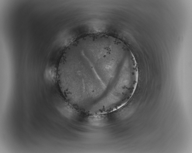 X0000116580672200912171525