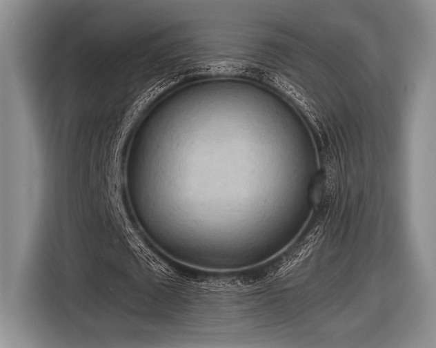 X0000116580673200912171524