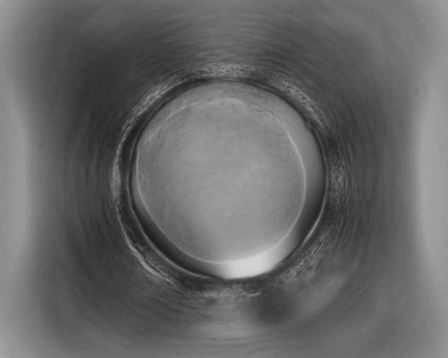 X0000116580674200912171524