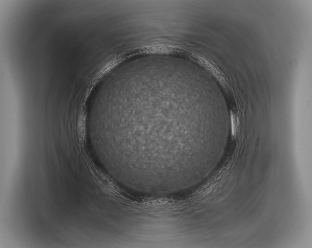 X0000116580675200912171524