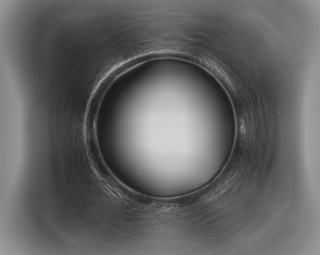 X0000116580676200912171524