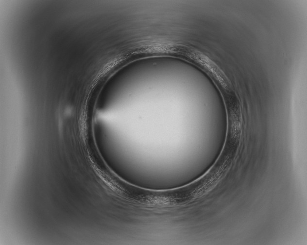 X0000116580677200912171524