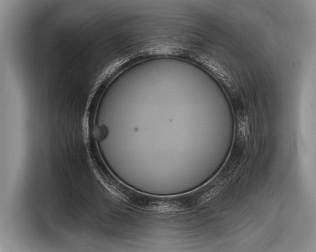 X0000116580678200912171524