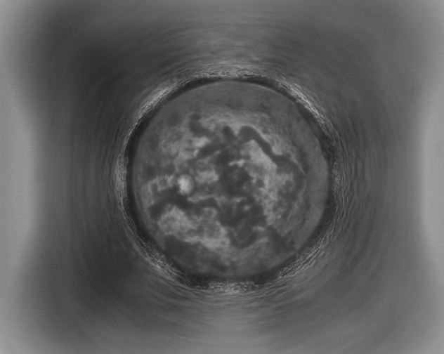 X0000116580679200912171524