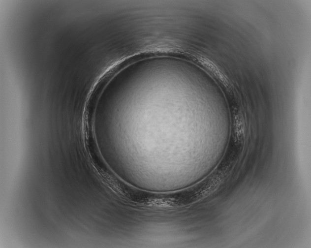 X0000116580680200912171524