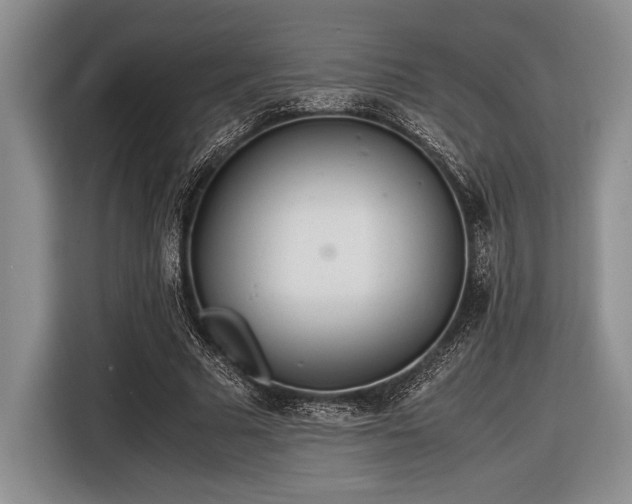 X0000116580681200912171524