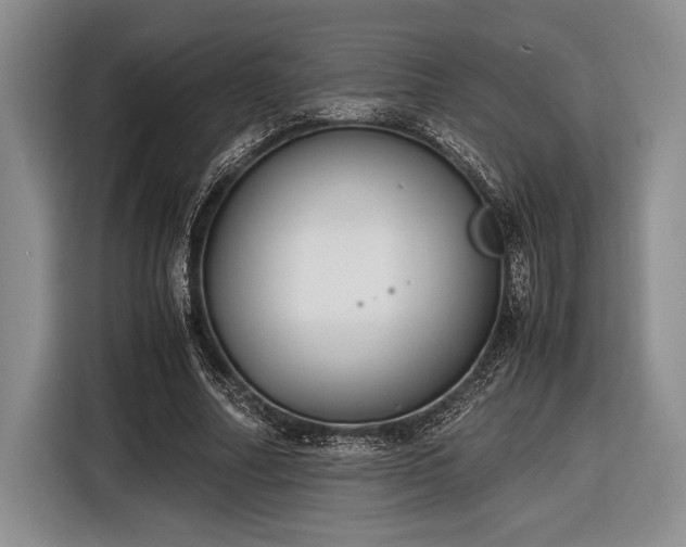 X0000116580682200912171524