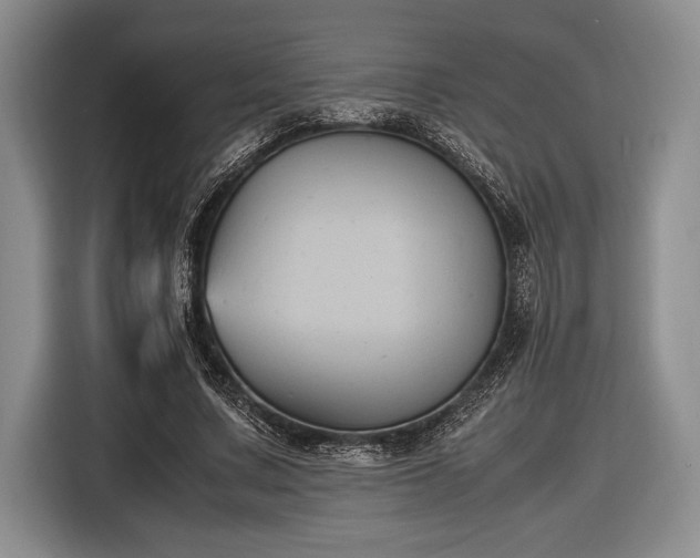 X0000116580683200912171524