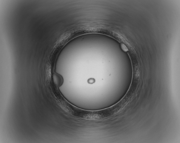 X0000116580685200912171524