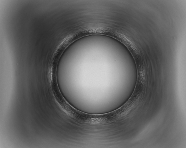 X0000116580686200912171524