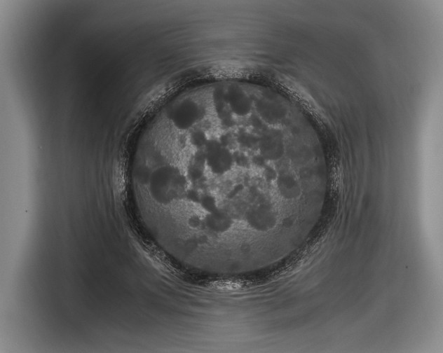 X0000116580687200912171524