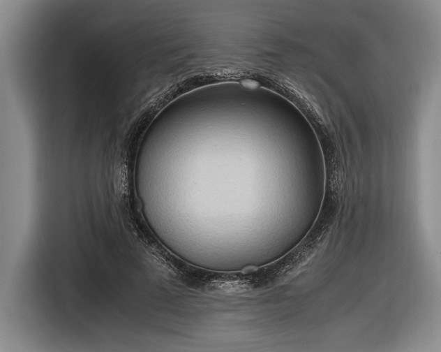 X0000116580689200912171524