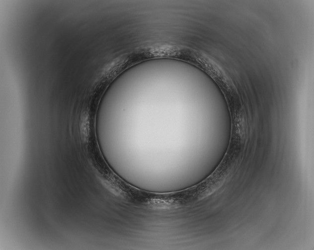 X0000116580690200912171524