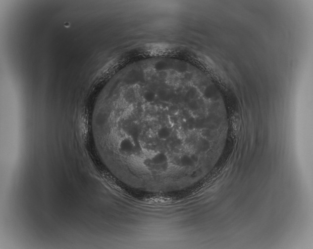 X0000116580691200912171524