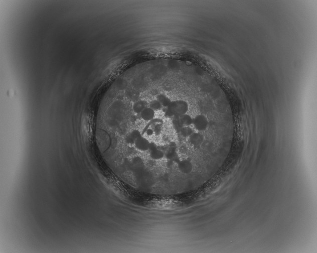 X0000116580695200912171524