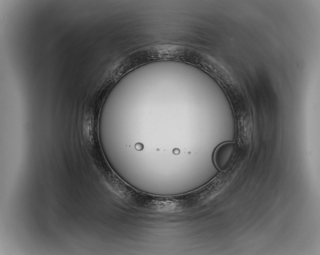 X0000116580698200912171524