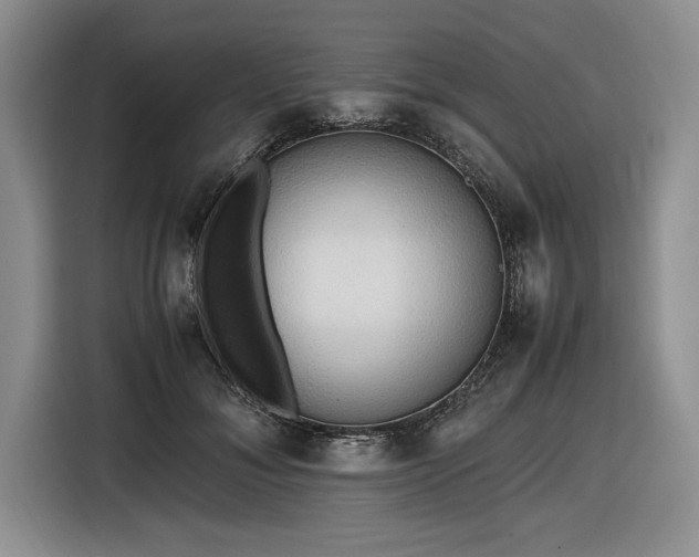 X0000116580700200912171524