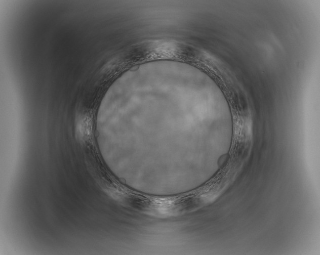 X0000116580701200912171524