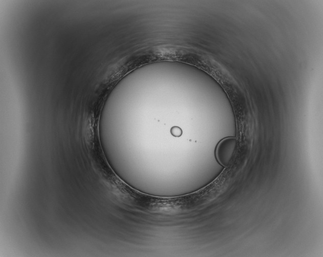 X0000116580702200912171524