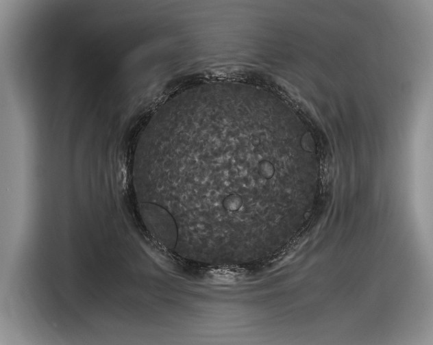 X0000116580703200912171524