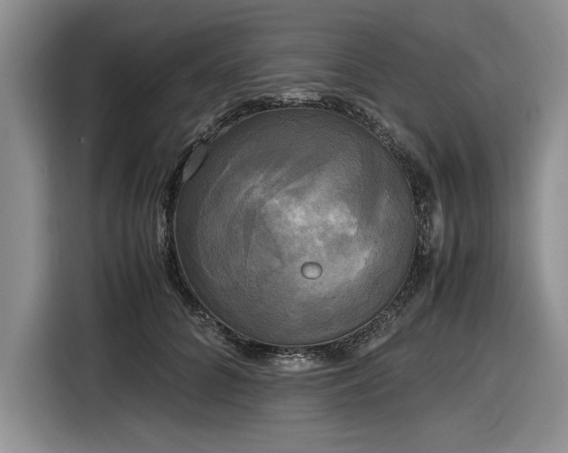 X0000116580704200912171524