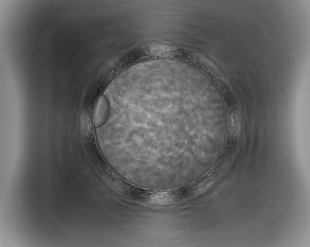 X0000116580705200912171524