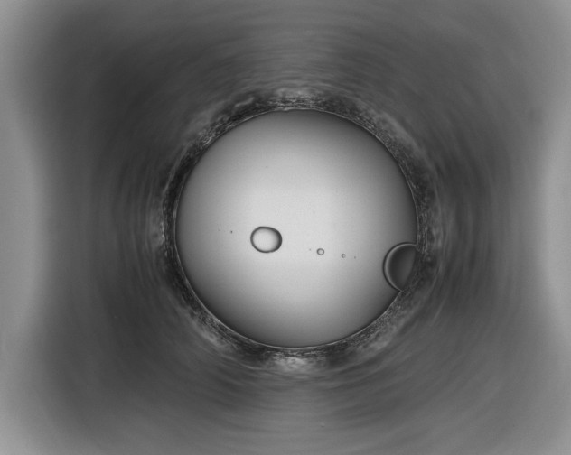 X0000116580706200912171524