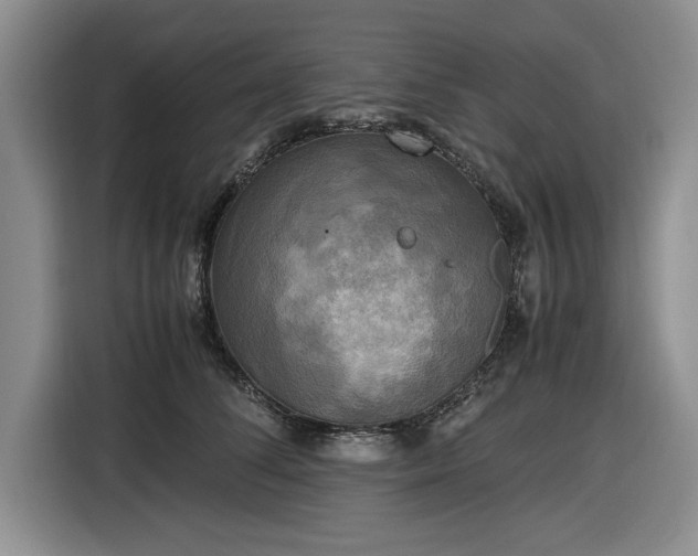 X0000116580708200912171524