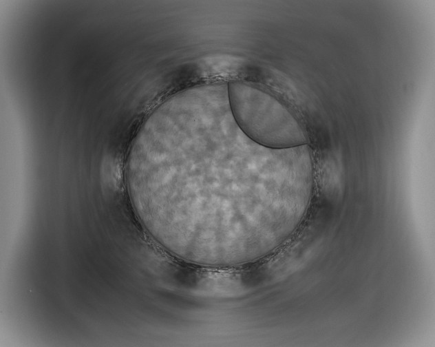 X0000116580709200912171524