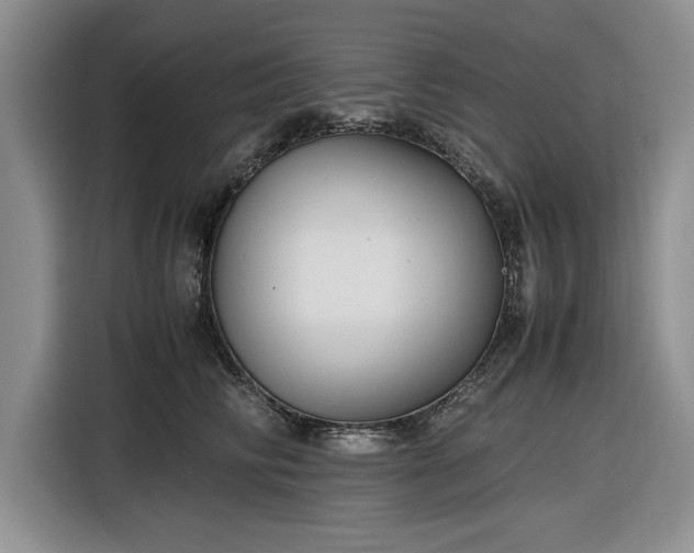 X0000116580710200912171524