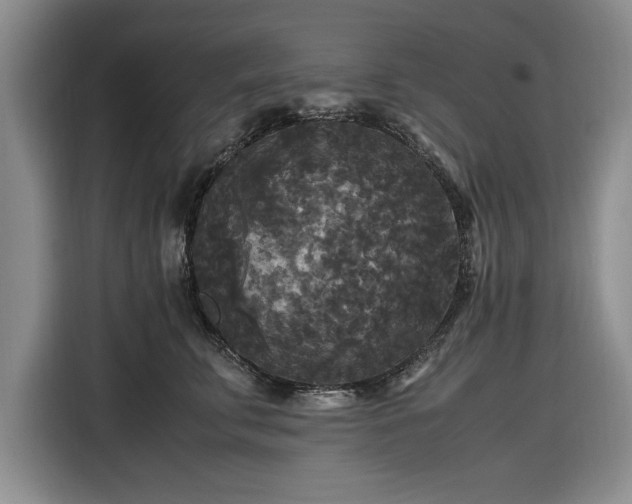 X0000116580711200912171524