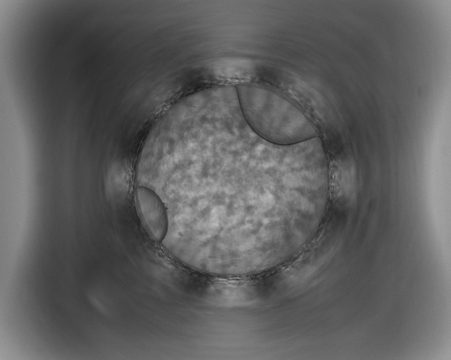 X0000116580713200912171524