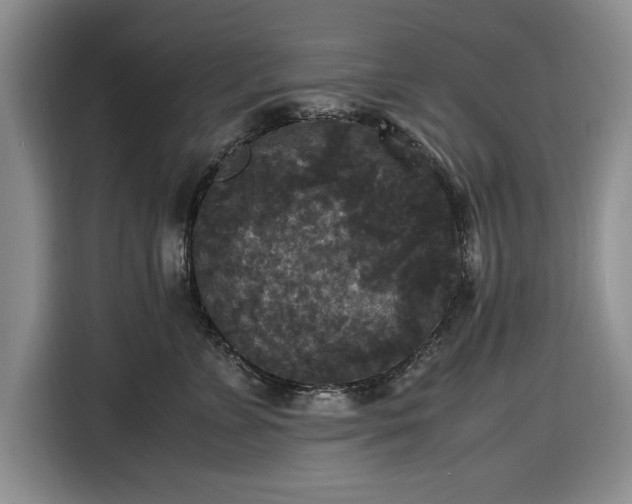 X0000116580715200912171524