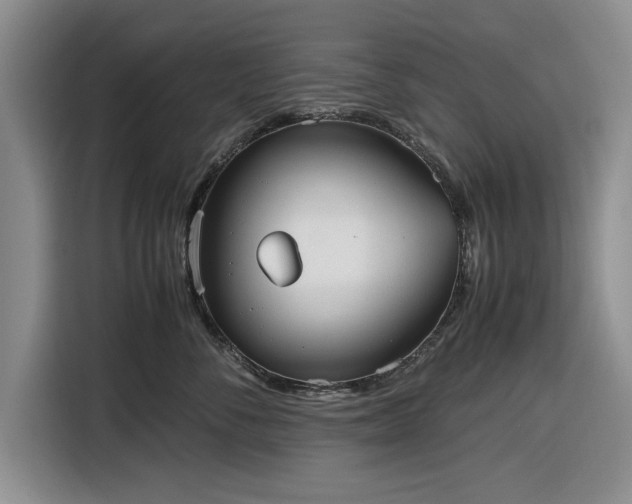 X0000116580716200912171524